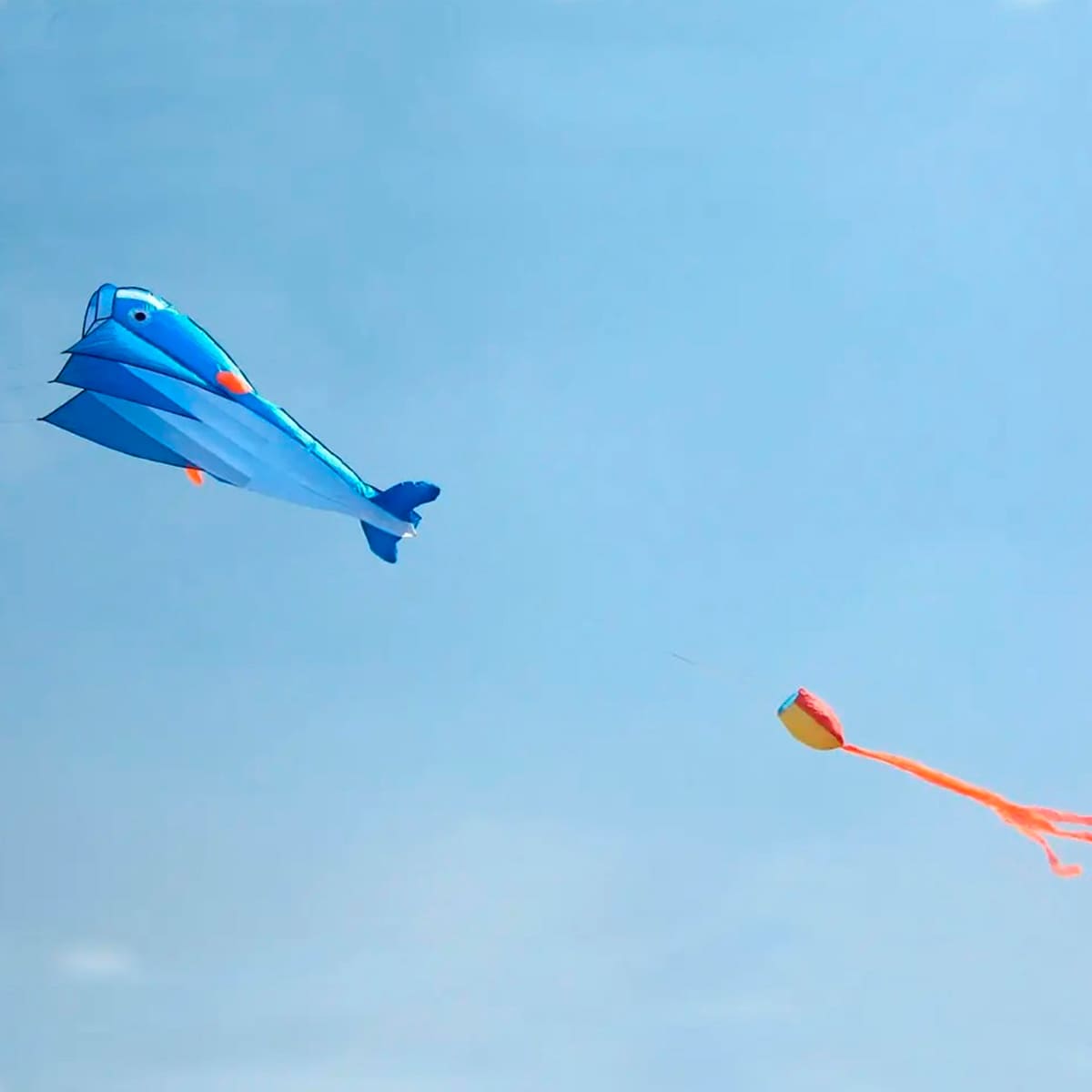 Miniatura 5 de Cometa Ballena 3D Gigante COM-2-3